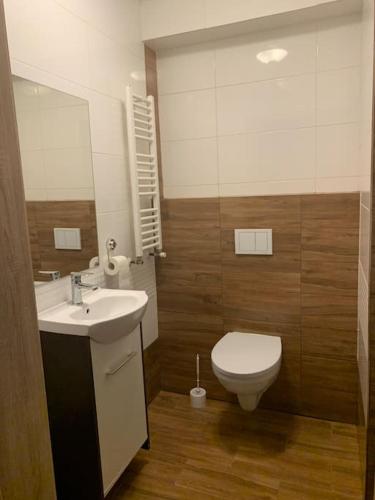 a bathroom with a white toilet and a sink at apartament- Stare Miasto Olsztyn in Olsztyn