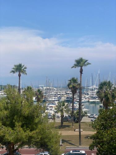 a marina with a bunch of boats in a harbor at Studio Antibes Port Vauban. in Antibes