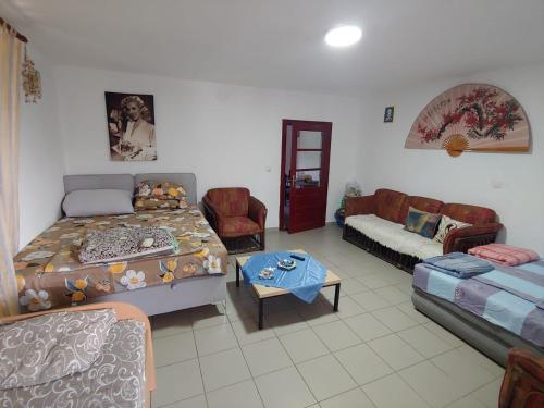 ein Wohnzimmer mit einem Bett und einem Sofa in der Unterkunft Vila Ljubomir - Srebrno Jezero in Kisiljevo