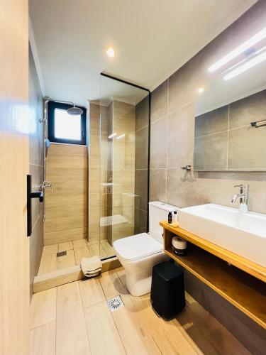 a bathroom with a sink and a toilet and a shower at athilia in Nikiana
