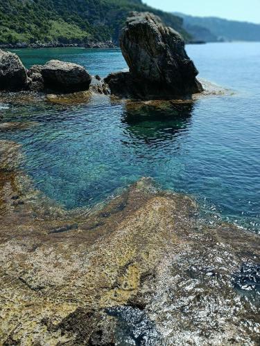 Φυσικό τοπίο κοντά σε αυτό το κάμπινγκ