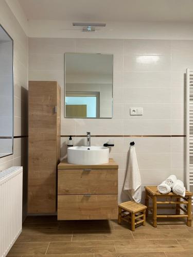 een badkamer met een wastafel en een spiegel bij Apartmán Elen - 6 lůžek, 86 m2 in Děčín