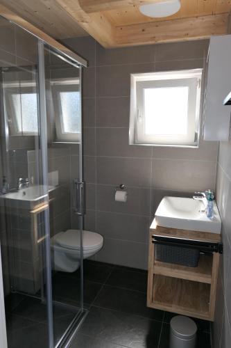 ein Bad mit einem WC, einem Waschbecken und einer Dusche in der Unterkunft Casa Safra in Kötschach