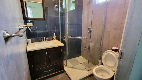 a bathroom with a shower and a toilet and a sink at Santa Cruz Chilling Vibes in La Pastora