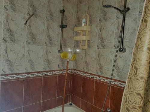 y baño con ducha de azulejos marrones. en Mena Apartment, en El Cairo