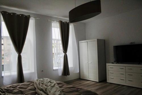 1 dormitorio con 1 cama, TV y ventanas en Ted’s two, en Ocna-Mureşului