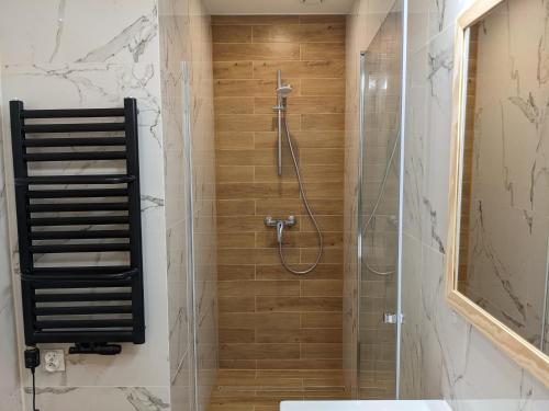W łazience znajduje się prysznic ze szklanymi drzwiami. w obiekcie Modrzewiowe Zacisze w mieście Chocieszow