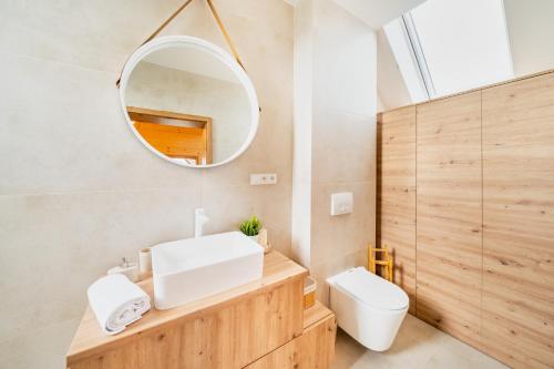 een badkamer met een wastafel, een spiegel en een toilet bij Domki Wilcze Pole in Waksmund