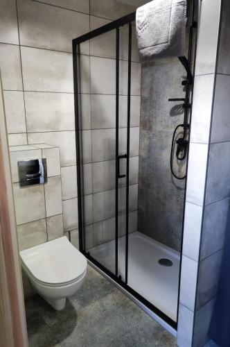 a bathroom with a toilet and a glass shower at Widok na Śnieżkę - domki całoroczne in Łomnica
