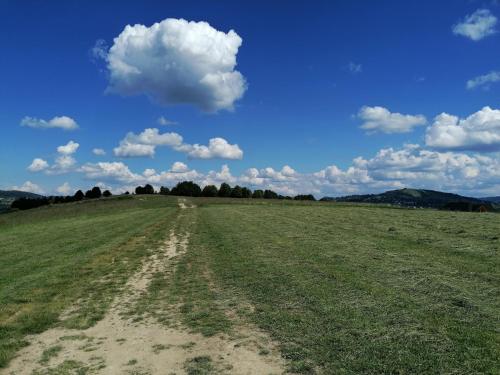 a field with a dirt road in the middle at Dwie Owce in Istebna