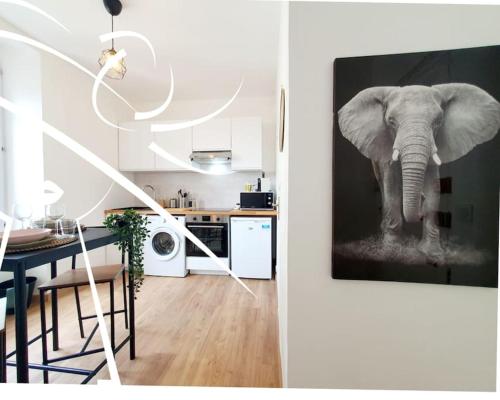 a kitchen with a picture of an elephant on the wall at La Suite N°05 par Madame Conciergerie in Rennes