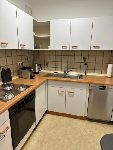 - une cuisine avec des placards blancs et un évier dans l'établissement Wohnung in Landshuter Altstadt, à Landshut