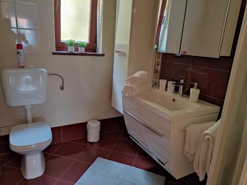 a bathroom with a toilet and a sink and a mirror at Apartman Roža in Matulji