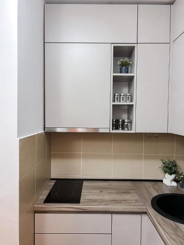 Kuchyň nebo kuchyňský kout v ubytování Apartman Vas dom 2