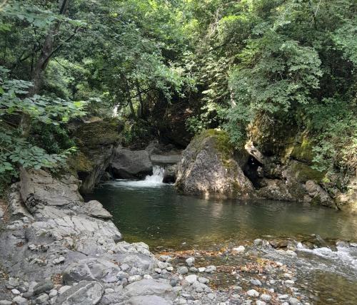 Φυσικό τοπίο κοντά σε αυτή η παραθεριστική κατοικία