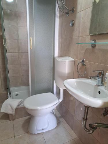 a bathroom with a toilet and a sink at Apartmani ante 3 in Drašnice