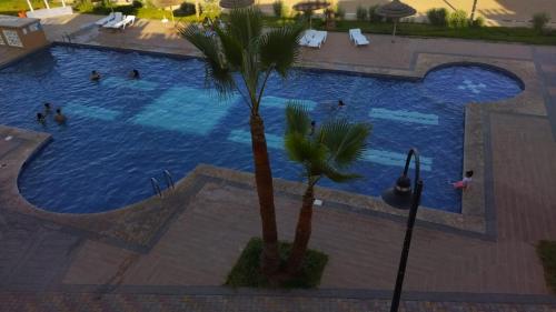 an overhead view of a swimming pool with a palm tree at Résidence Al Kawtar- Mansouria Mohammedia in Mohammedia