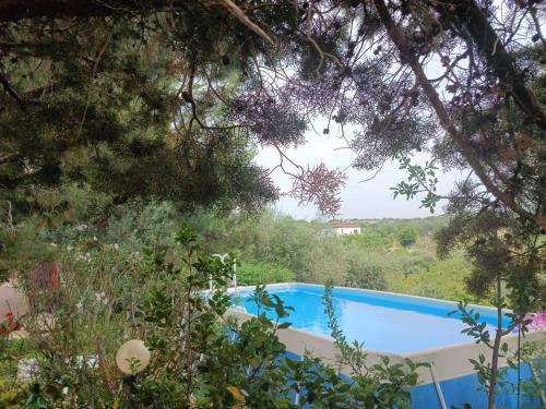 a swimming pool surrounded by trees and bushes at Trulli Belvedere in Putignano
