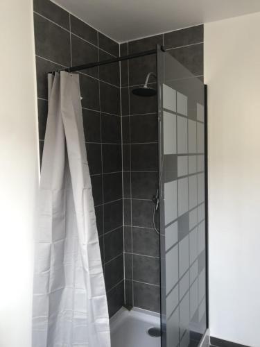 une salle de bain avec une douche avec un rideau de douche dans l'établissement Villa Della, à Planès