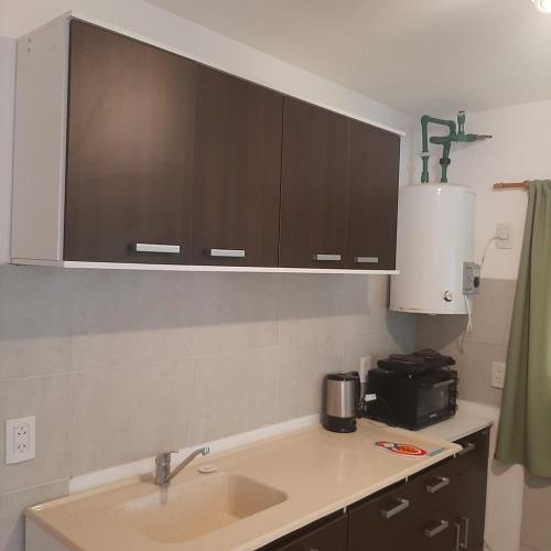 a kitchen with a sink and wooden cabinets at Lujan de Cuyo Mendoza in Ciudad Lujan de Cuyo