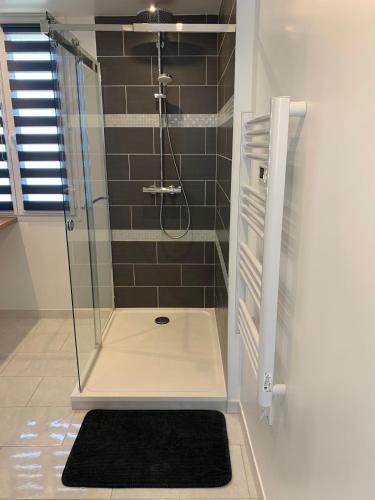 La salle de bains est pourvue d'une douche et d'un tapis noir. dans l'établissement Petite maison sur les traces de Van gogh, à Butry-sur-Oise