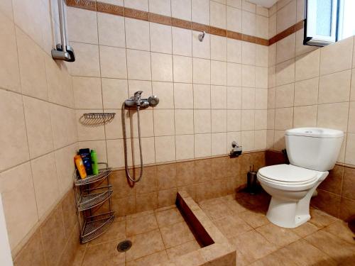 La salle de bains est pourvue d'une douche et de toilettes. dans l'établissement Εξοχική Κατοικία με θέα, 