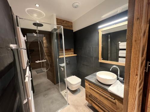a bathroom with a shower and a toilet and a sink at Gite Roche Des Ducs avec Piscine toute l'année, Spa, Sauna, Hammam in Rochesson
