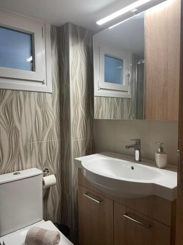 a bathroom with a sink and a toilet and a mirror at Backyard houses in Toroni