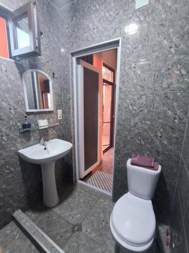 a bathroom with a toilet and a sink and a mirror at Batumi Homestay at Tamar Mephe Avenue in Makhinjauri