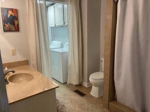een badkamer met een wastafel, een toilet en een douche bij Dogwood Mountain House in Fancy Gap
