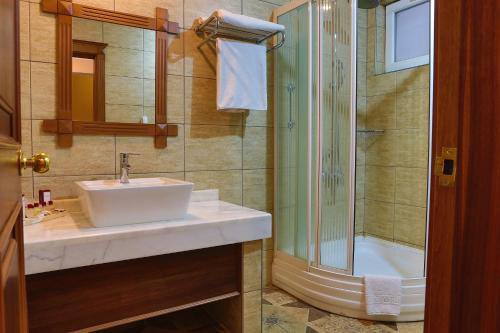 een badkamer met een wastafel en een douche bij Elit Palas Hotel in Ankara