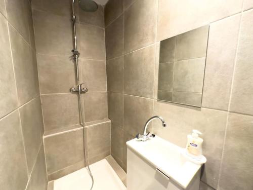 une salle de bain avec douche et lavabo dans l'établissement Appartement Cerf3-Centre ville Meaux-Gare-Disney, à Meaux