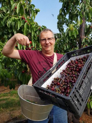 a man holding a basket of cherries at Chalet Goudrenette in Hengstdijk