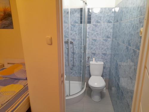 een badkamer met een toilet en een glazen douche bij Zajazd Morfeusz in Rękusy