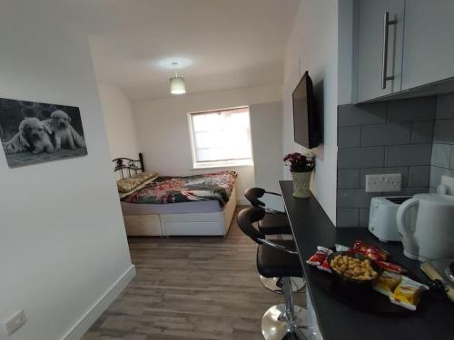 a room with a kitchen and a living room at Stylish studio flat with Parking in Enfield