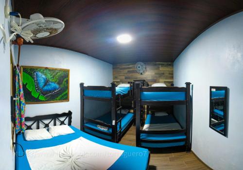 Двухъярусная кровать или двухъярусные кровати в номере Hostel Tortuguero 7BackPackers