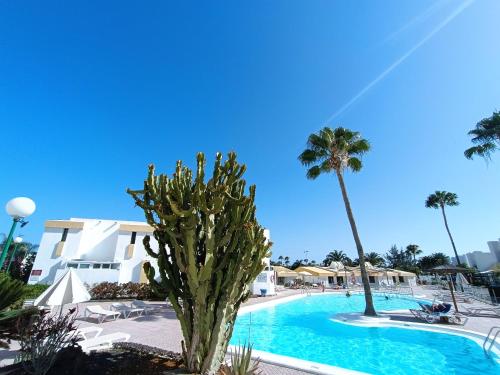 Bungalow Capri Maspalomas