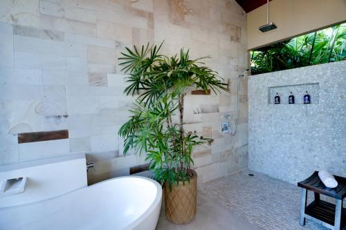 a bathroom with a toilet and plants in it at Golden Pineapple Villas-Adults Only in Uvita