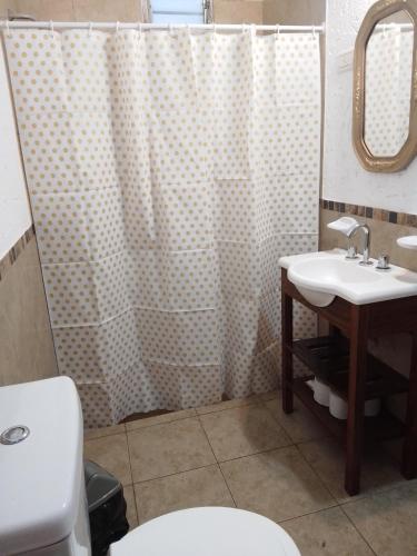 a bathroom with a sink and a shower curtain at Casa del viñedo in Villa Las Rosas