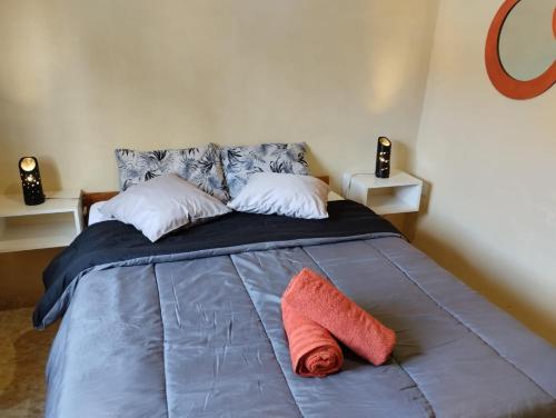 Residencia Don Barreto – Photos 4