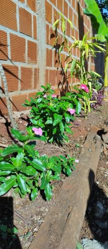Residencia Don Barreto – Photos 5
