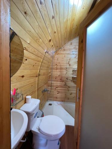 een houten badkamer met een toilet en een wastafel bij Homestay Lê Gia in Xuyên Mộc