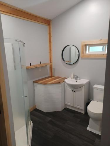a bathroom with a toilet and a sink and a mirror at Wells Gray Stay And Play in Clearwater