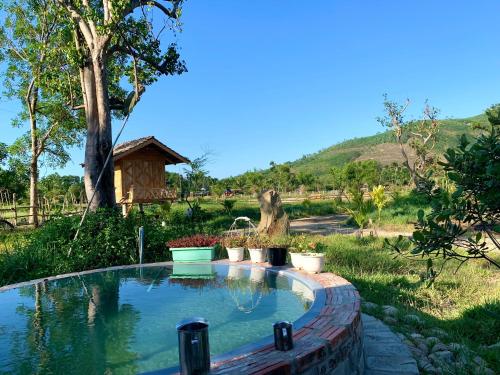 a swimming pool in a garden with a house at Homie Hava Homestay in Lang Co