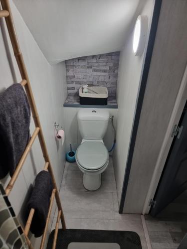 uma pequena casa de banho com WC num quarto em Quai 1 Voie A 