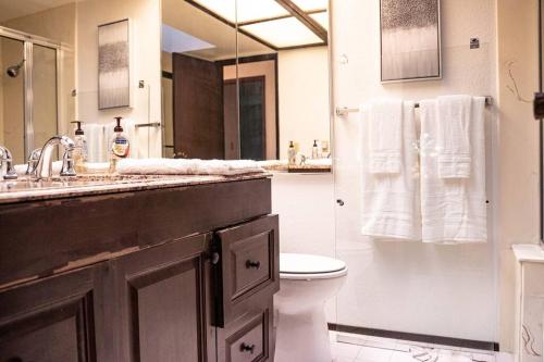 La salle de bains est pourvue d'un lavabo, de toilettes et d'un miroir. dans l'établissement Serene & Spacious 5 min drive to DT Bellevue, à Bellevue