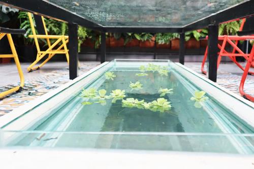 Bazén v ubytování AMANGO HOSTEL nebo v jeho okolí