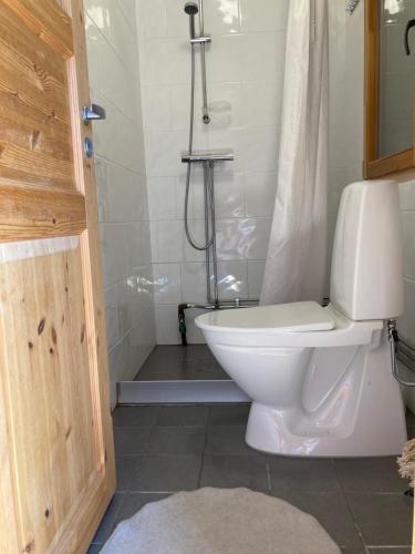 Asplunda Gård, Kolmården stuga nr 2 في كولموردِن: حمام مع مرحاض ودش