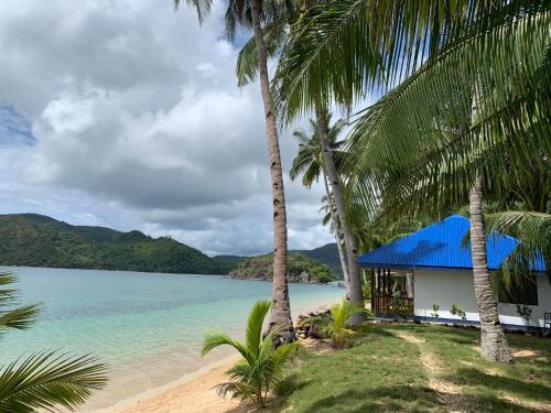 a house on the beach with palm trees at NATUAS BEACH in El Nido