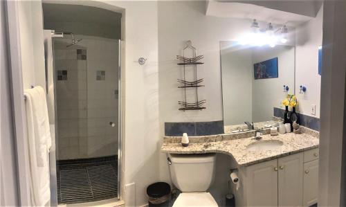 a bathroom with a toilet and a sink and a shower at Park side Basement 2 bedroom suite in Kelowna